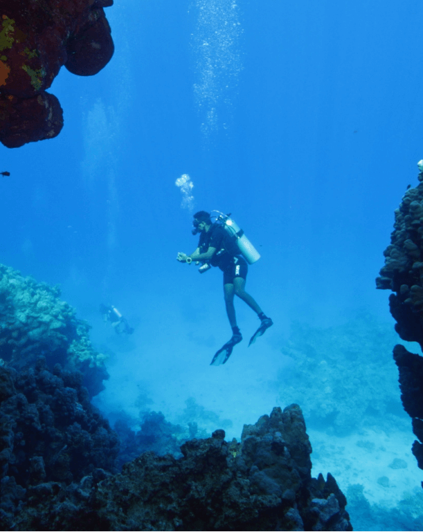 larry-turant-diver-experience-maskoptix-underwater-glasses